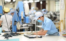 Đề xuất miễn đóng bảo hiểm y tế cho lao động khó khăn vì Covid-19