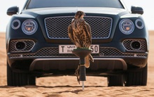 5 độc bản trong làng xe thế giới chỉ làm 1 lần rồi thôi: Xe được khen vì tinh xảo, xe bị chê là khó hiểu