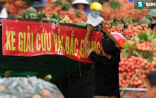 Cú điện thoại nửa đêm của lãnh đạo Bắc Giang, “ông” lái xe được bảo vệ hơn đại gia và cam kết của “vua vải” với thương nhân Trung Quốc