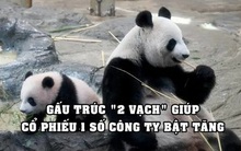 Cổ phiếu công ty tăng vọt nhờ gấu trúc mang thai