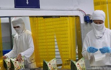 Doanh nghiệp xoay sở thoát vòng vây của dịch