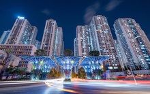 TNS Holdings sắp phát hành 10,5 triệu cổ phiếu trả cố tức năm 2020