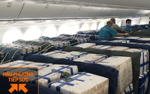 Lần đầu tiên vải thiều "ngồi" khoang hành khách trên siêu máy bay Boeing 787