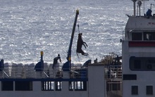 1.800 con bò bị bỏ đói trên biển và chịu kết cục thảm: Hồi chuông cảnh tỉnh về ngành công nghiệp buôn động vật sống quy mô 18 tỷ USD