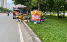 Bảo hiểm xe máy lề đường "hết đất sống"