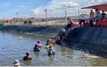 Lo ngại dịch Covid-19 bùng phát, ngư dân Tiền Giang thu hoạch tôm ồ ạt, “cung vượt cầu"