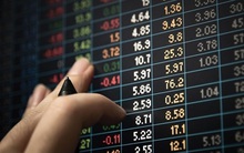 Tập trung vào các cổ phiếu "hot" như HPG, TCB, VPB, VHM: Quỹ ETF VinaCapital VN100 tăng trưởng 38,5% lợi nhuận sau 6 tháng đầu năm