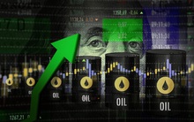 Mỹ: Thị trường quyền chọn 'nóng rực', đội quân đầu cơ ồ ạt đặt cược giá lên làm tăng rủi ro dầu biến động mạnh