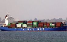 Cổ phiếu tăng trần liên tiếp, vốn hóa Vinalines (MVN) lên gần 2 tỷ USD