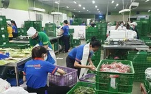 Siêu thị bổ sung nhiều hàng, kêu gọi khách hàng bình tĩnh mua sắm