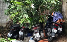 Xe SH xếp đống góc vườn, bụi chuối phát hiện khi nhóm chuyên 'nhảy' SH ở Hà Nội sa lưới