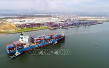 Thành lập Ban Quản lý các Khu kinh tế, Khu công nghiệp tỉnh Quảng Nam