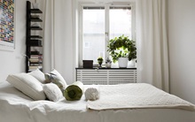 9 loại cây cảnh trồng trong phòng giúp bạn có giấc ngủ ngon hơn