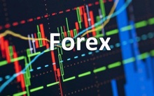 Xử lý sàn Forex “trá hình" lắm cạm bẫy, đầy sức hút