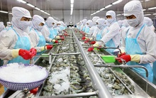 Xuất khẩu thuỷ sản năm 2021 có thể cán đích 9 tỷ USD