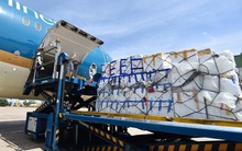 Dịch vụ Hàng hóa Sài Gòn (SCS): Quý 2 lãi 150 tỷ đồng, tăng 50% so với cùng kỳ