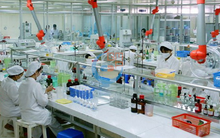 Dược Hậu Giang (DHG): 6 tháng lãi 405 tỷ đồng, tăng 12% so với cùng kỳ 2020