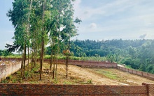 Nhà giàu Hà Nội cũng choáng với cơn "ngáo giá" đất quê