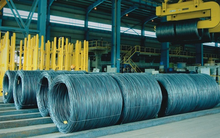 Gang thép Thái Nguyên (TIS) lãi 110 tỷ đồng trong 6 tháng, gấp 7 lần cùng kỳ