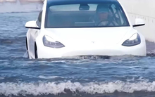 Tesla Model 3 lội nước "like a boss" trong lũ lụt ở Trung Quốc – hoá ra CEO Elon Musk không nói dối