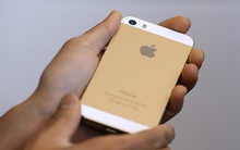 Một người vừa giành giải thưởng nhiếp ảnh năm 2021 với một chiếc iPhone 5S