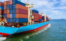 Cần chặn đà tăng giá cước tàu biển