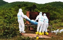 Biên giới Campuchia "báo động" vì COVID-19, bệnh nhân nguy kịch chết trên đường đi cấp cứu