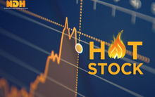 Một cổ phiếu tăng 104% sau một tuần