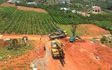 Lâm Đồng thu hồi hơn 32 ha đất tại Di Linh làm điểm du lịch sinh thái