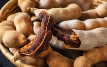 Thứ vỏ bỏ đi ở Việt Nam có thể trở thành "siêu vật liệu" dùng trong ô tô, xe điện, tàu hỏa...