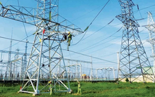 Malblue - Công ty liên quan Chủ tịch HĐQT Vneco - chỉ mua hơn 4 triệu cổ phiếu VNE trong số 10 triệu cổ phiếu đăng ký