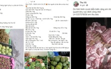 Không ngồi chờ khách đến, tiểu thương chợ Hà Nội bán hàng kiểu mới, ship luôn tận nhà