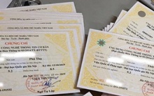 Cắt giảm văn bằng, chứng chỉ: Giảm tiêu cực cho xã hội