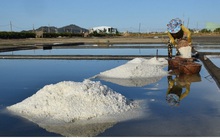 Giá muối xuống thấp, người dân Bình Định gặp khó