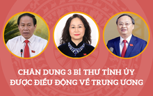 Chân dung 3 Bí thư Tỉnh ủy được điều động về Trung ương