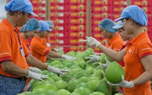 Bất chấp dịch bệnh, xuất khẩu nông sản tăng mạnh hướng đích 45 tỷ USD