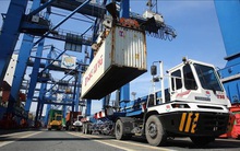 Có hiện tượng hàng tàu 'găm' container để thổi giá cước phí?