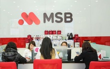 DATC muốn bán hết cổ phiếu MSB