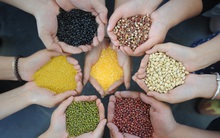 Ngũ cốc rất tốt cho cơ thể nhưng có 3 cách ăn sai có thể gây hại sức khỏe mà nhiều người mắc phải