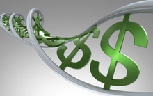 TNS Holdings chốt danh sách cổ đông trả cổ tức bằng tiền và cổ phiếu tổng tỷ lệ 50%