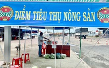 Giúp dân tiêu thụ nông sản