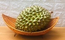 Sầu riêng ở Đắk Lắk chỉ 8.000 đồng/kg và sự thật gây bất ngờ phía sau