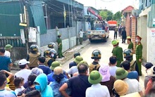 Khởi tố, bắt giam ông chủ nuôi 14 con hổ Đông Dương trái phép trong tầng hầm của gia đình