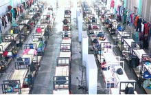 Doanh nghiệp đề xuất thí điểm cho lao động đã tiêm mũi 1 vaccine đi làm từ nhà