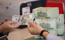 Động thái mới của NHNN về tỷ giá sau khi đạt được tuyên bố chung với Bộ Tài chính Mỹ