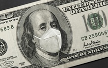 USD tăng tuần thứ 2 liên tiếp, neo cao nhất 4 tháng