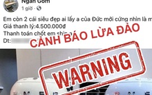 Chân dung "nữ đại gia Ngân Gốm": Từ mẹ đơn thân thành công đến liên hoàn phốt lừa đảo, chống đối CSGT gây xôn xao MXH