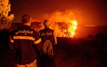 Chưa bao giờ "Mẹ Thiên Nhiên" lại giận dữ đến thế, hơn 1 tháng nhấn chìm cả thế giới trong biển lửa: Nơi lạnh nhất cũng bốc cháy ngùn ngụt, những cánh rừng biến mất sau vài đêm