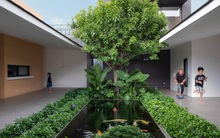 Cách bố trí tường thông minh giúp nhà cấp 4 có chỗ trồng cây, nuôi cá