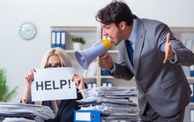 6 bí kíp đối phó với sếp khó tính của dân công sở